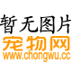 沈阳星晨宠物运输